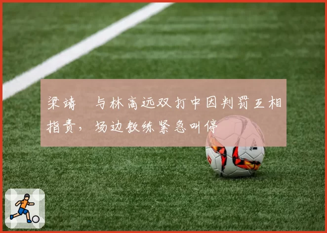梁靖崑与林高远双打中因判罚互相指责,场边教练紧急叫停