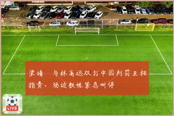 梁靖崑与林高远双打中因判罚互相指责,场边教练紧急叫停