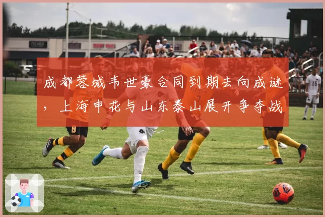成都蓉城韦世豪合同到期去向成谜，上海申花与山东泰山展开争夺战
